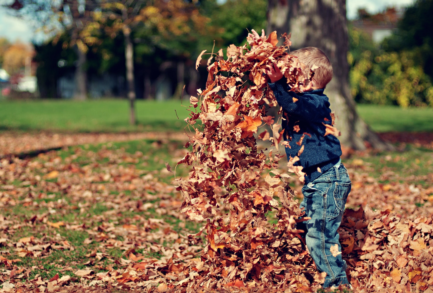 A child playing in leaves