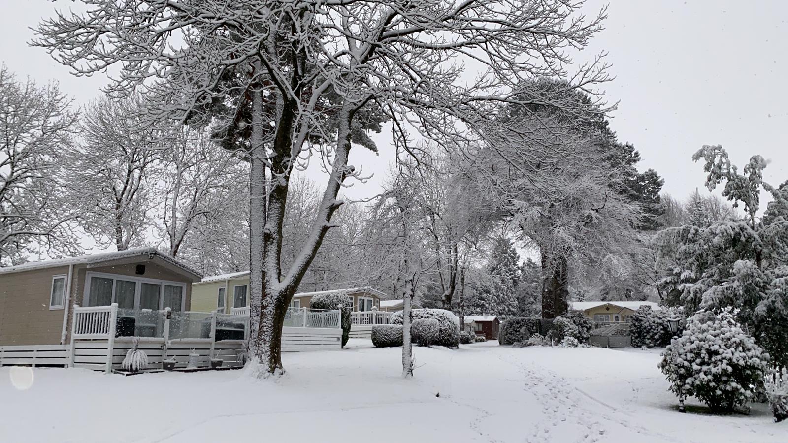 snow snow