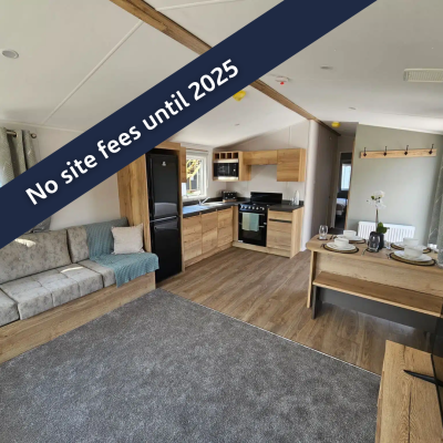 No site fees until 2025 (24) Willerby Delyn
